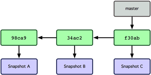 branch