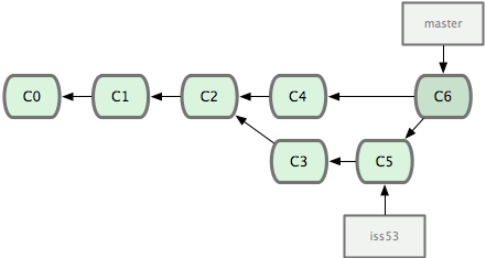 branch