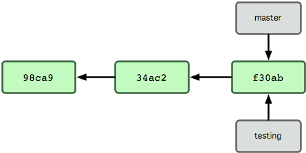 branch